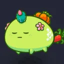 Axie Infinity Tournaments