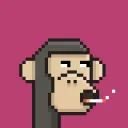 Crypto Apes Club's server