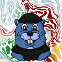 Dam Beavers