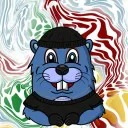 Dam Beavers
