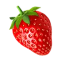 Sassy Strawberry Society