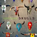 Medicine Skulls