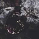   Steele Fangs   Discord Server Icon