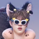 the catpop cult
