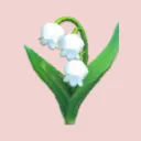 Lily's Valley