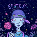 SpotGuy Labs