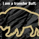 CU Boulder Transfer Buffs