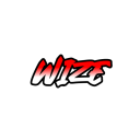 Wize gaming