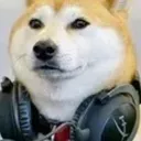 Call Coffe Doggo 2.0