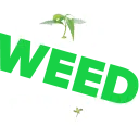 howweedgrow