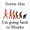 monkey anarchy