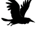 Geefbird