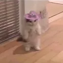 ☁𝓬𝓵𝓸𝓾𝓭𝓰 𝔃𝓸𝓷𝓮☁'s icon