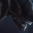 ☆  LV-426  ☆