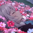 𝐵𝓁𝑜𝓈𝓈𝑜𝓂'𝓈 𝑀𝑒𝒶𝒹𝑜𝓌 / Nitro Giveaways and more!
