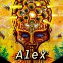 The Collective Alex