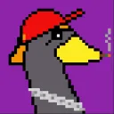 Quack Smoker’s server