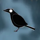The Murder of Crows