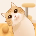 KikoVerse