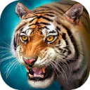 The Tiger