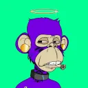Billionaire APE Teen club