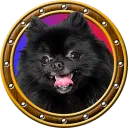 Bork Yeah Games