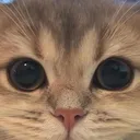𝑶𝒇𝒇𝒊𝒄𝒊𝒂𝒍 𝑨𝒇𝒕𝒆𝒓 𝑺𝒄𝒉𝒐𝒐𝒍 𝑴𝒂𝒔𝒔𝒂𝒄𝒓𝒆