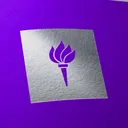 NYU Data Science