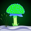 Crypto Shrooms
