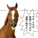 トップロード成田
