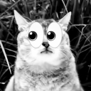 tole tole universe (archived)