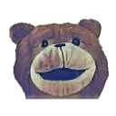 SamBearCoin