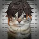 :zhongli cat   !        wip Discord Server Icon