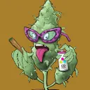 OGWeed