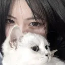vic!・white emotes ₊