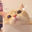 神秘壹漾伺服器