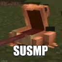 S Unnamed SMP