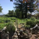 Oakes Garden 2021-22