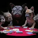 ACE NFT POKER's
