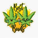 TheDankestBuddz