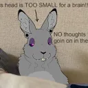 🥩 THE RABBIT HOLE 🔪