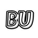 BU SCRIPT