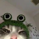 Niki<33's server