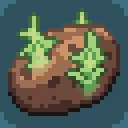 Sprouting Potato