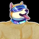 Minisoldoge $sol