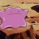 nemo !