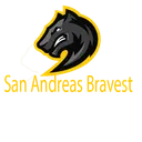 San Andreas Bravest Interview Server