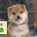 みんなの図書室