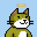 Solana Cat Business