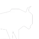 PROJECT BISON
